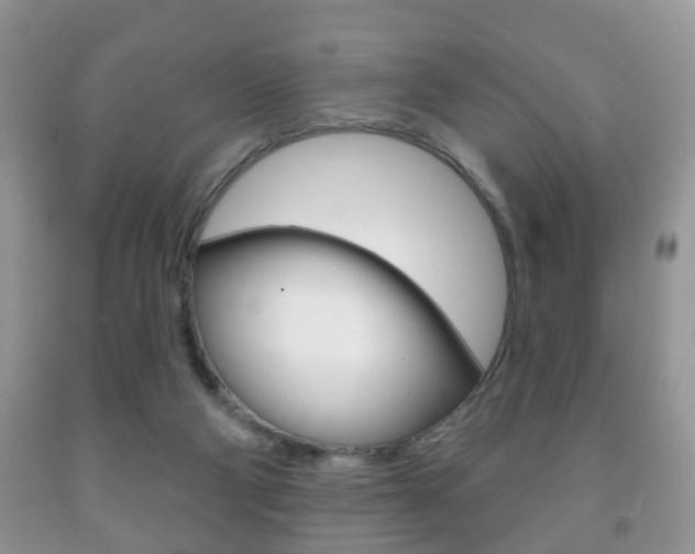 X0000091930114200709051249