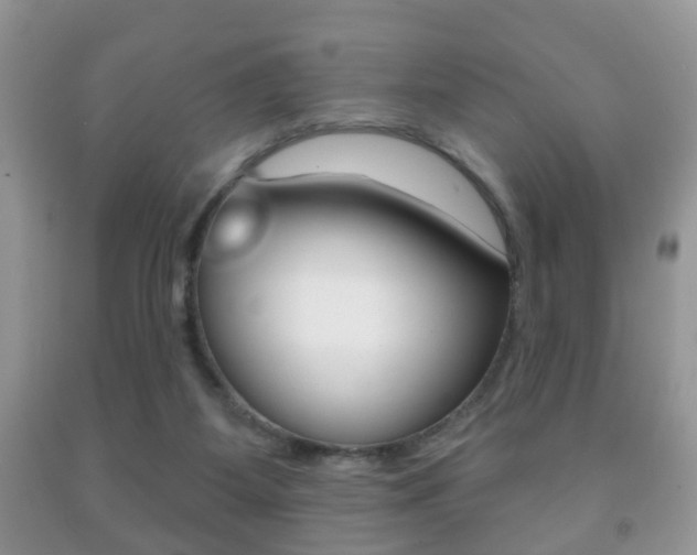 X0000091930115200709051249