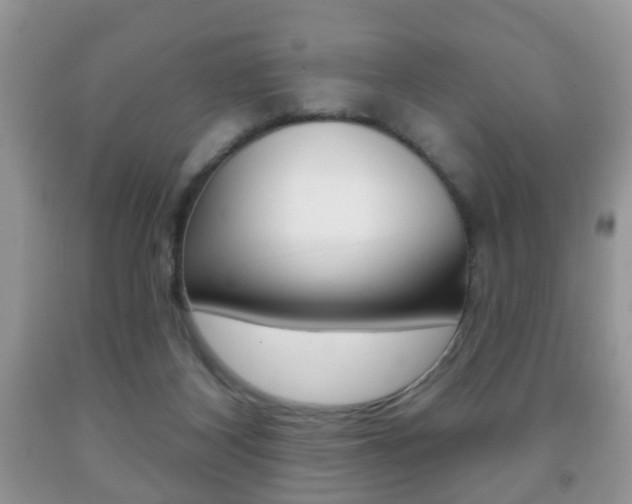 X0000091930116200709051249