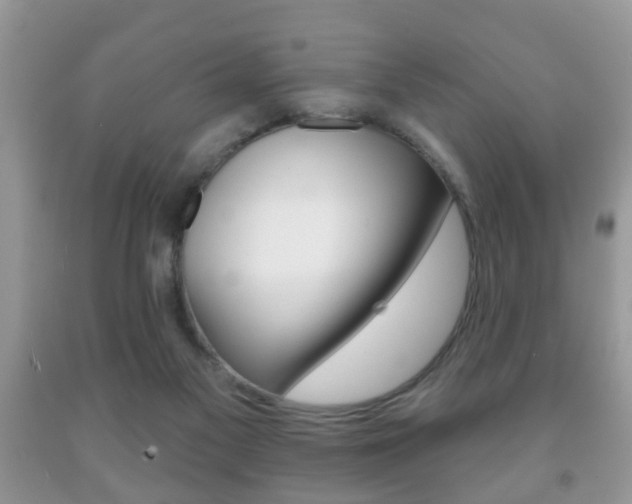 X0000091930117200709051249