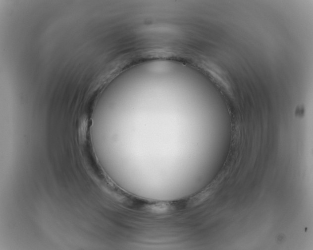 X0000091930118200709051249