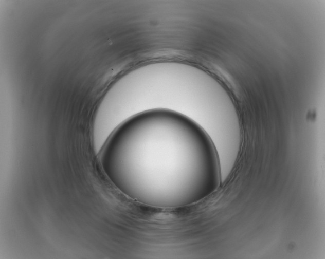 X0000091930119200709051249