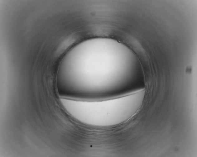 X0000091930120200709051249