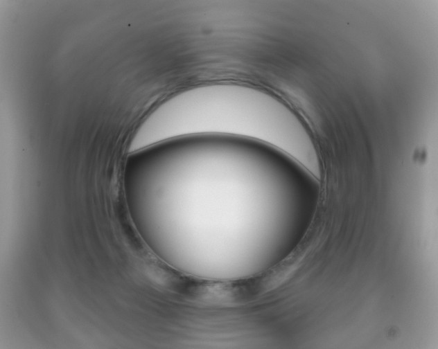 X0000091930121200709051249