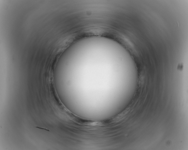 X0000091930122200709051249