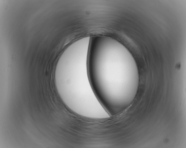 X0000091930124200709051249