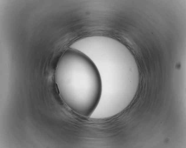 X0000091930125200709051249