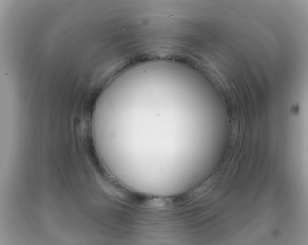 X0000091930126200709051249