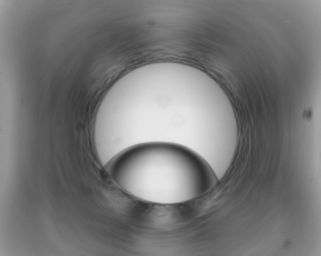 X0000091930127200709051249