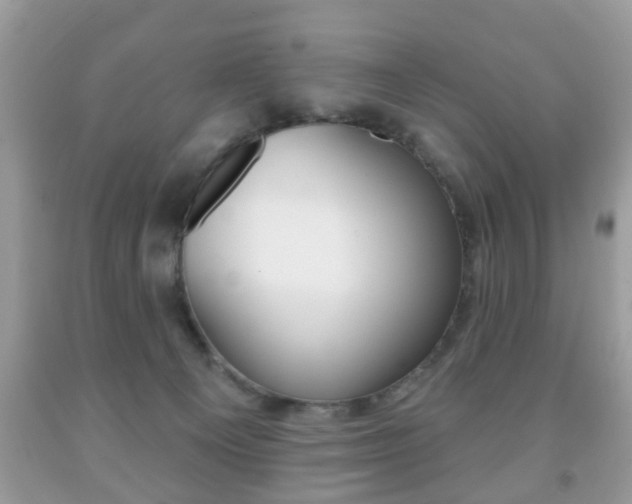 X0000091930129200709051249