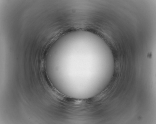 X0000091930130200709051249
