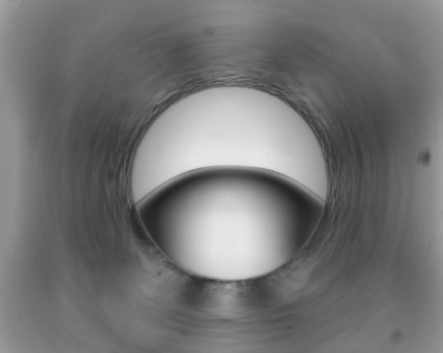X0000091930131200709051249