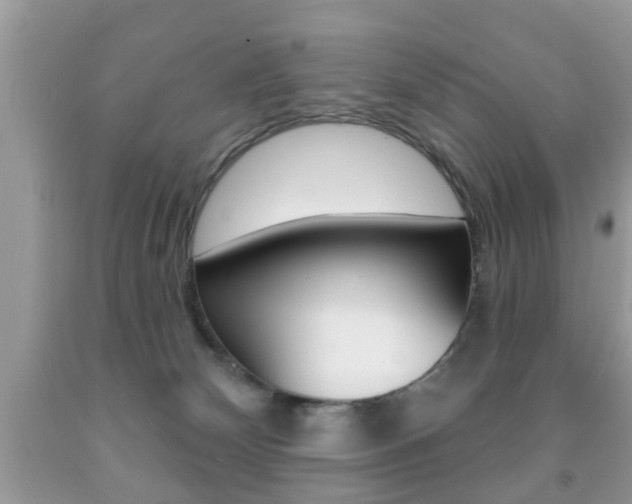 X0000091930132200709051249