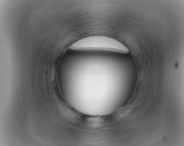 X0000091930133200709051249