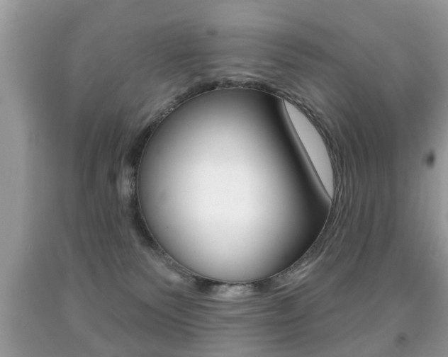 X0000091930135200709051249