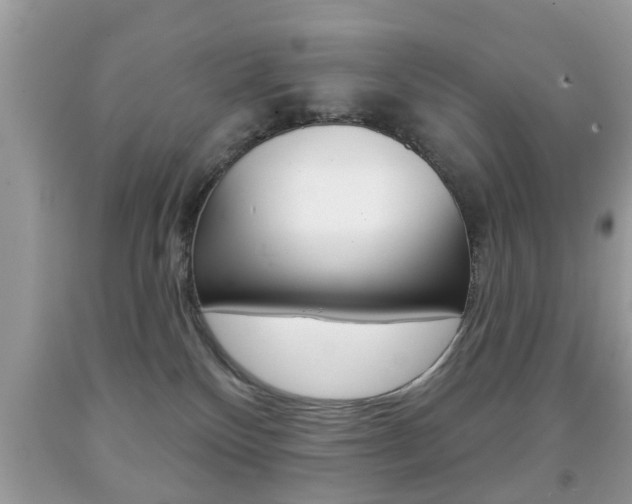 X0000091930136200709051249