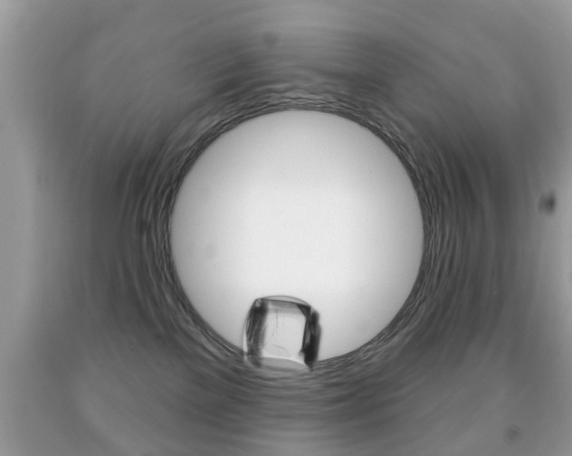 X0000091930137200709051249