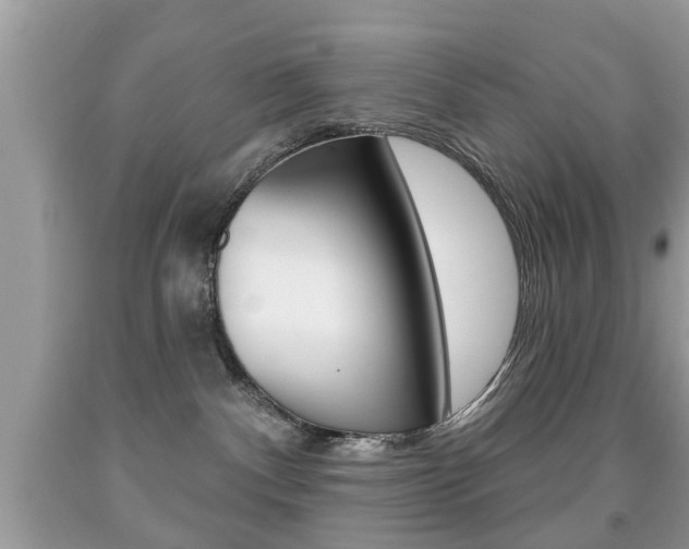 X0000091930140200709051249