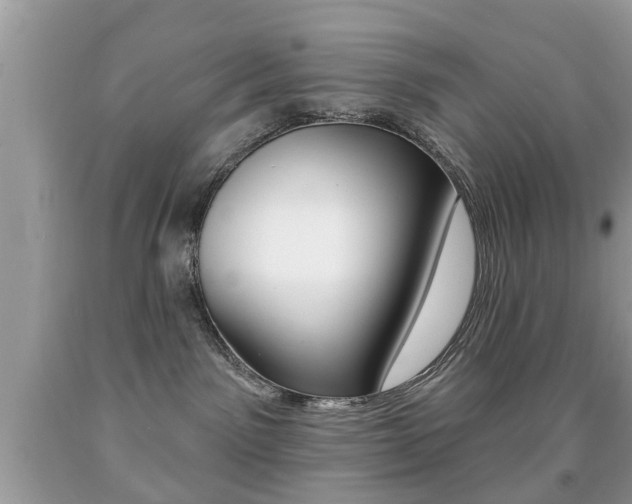 X0000091930141200709051249