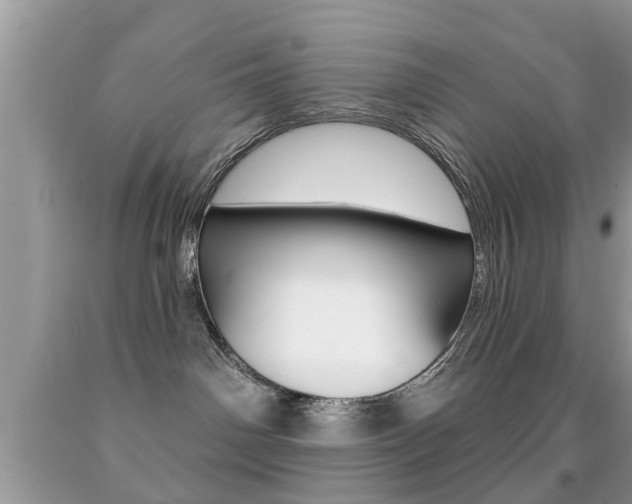 X0000091930142200709051249