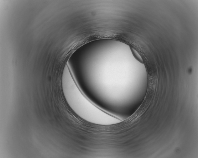 X0000091930143200709051249