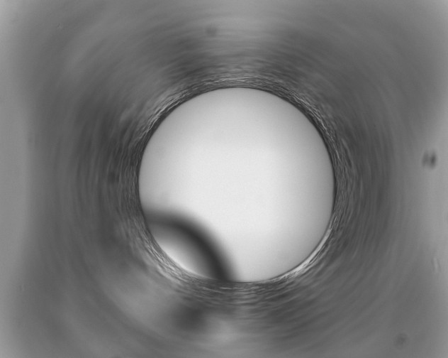 X0000091930144200709051249