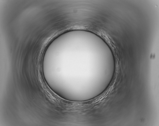 X0000091930145200709051248