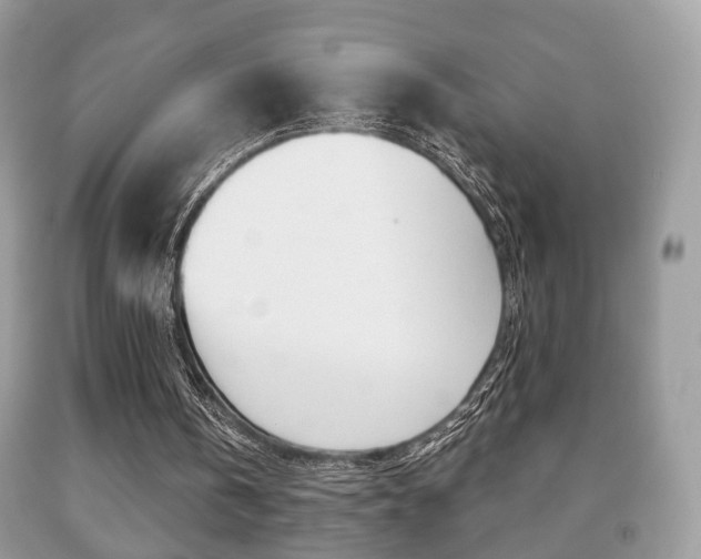 X0000091930146200709051248