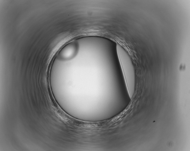 X0000091930147200709051248