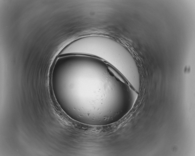 X0000091930148200709051248