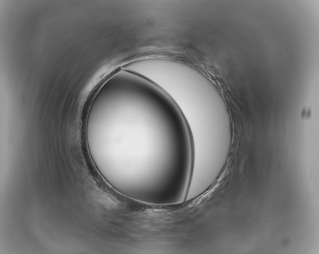 X0000091930150200709051248