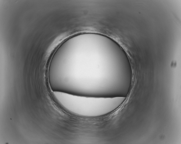 X0000091930151200709051248