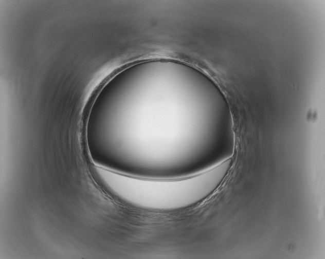X0000091930152200709051248