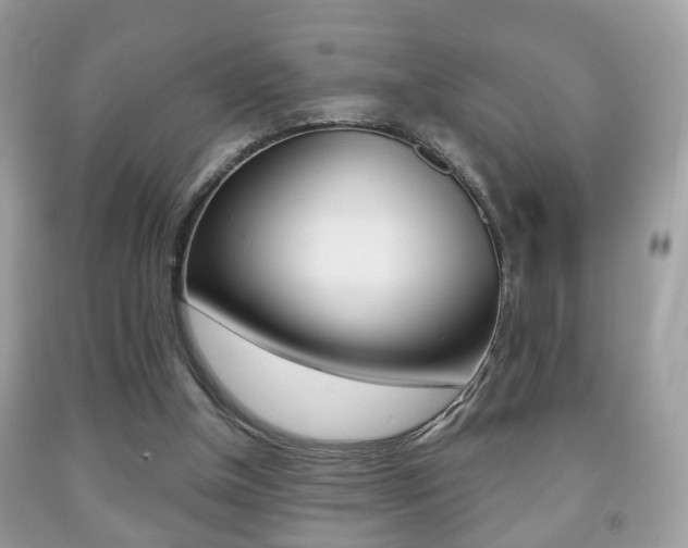 X0000091930154200709051248
