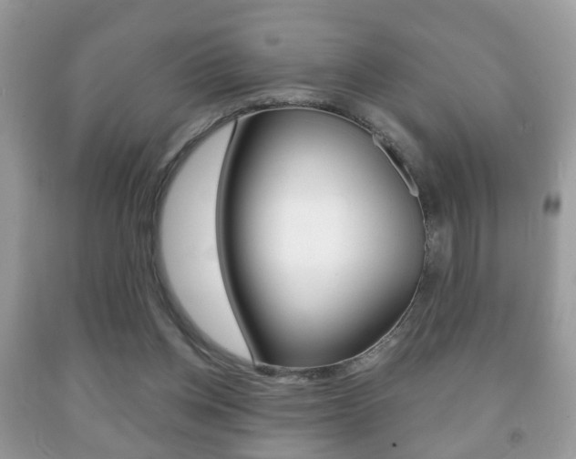 X0000091930158200709051248