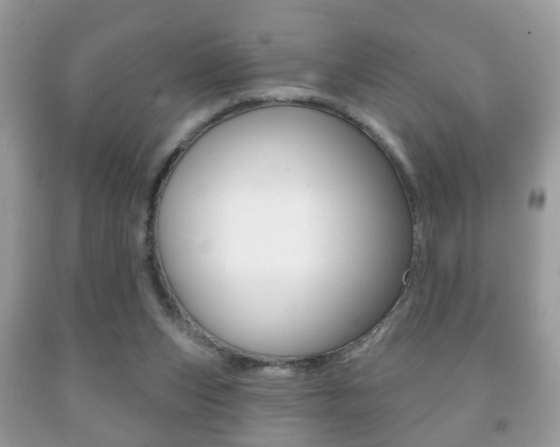 X0000091930159200709051248
