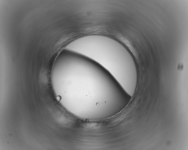 X0000091930161200709051248