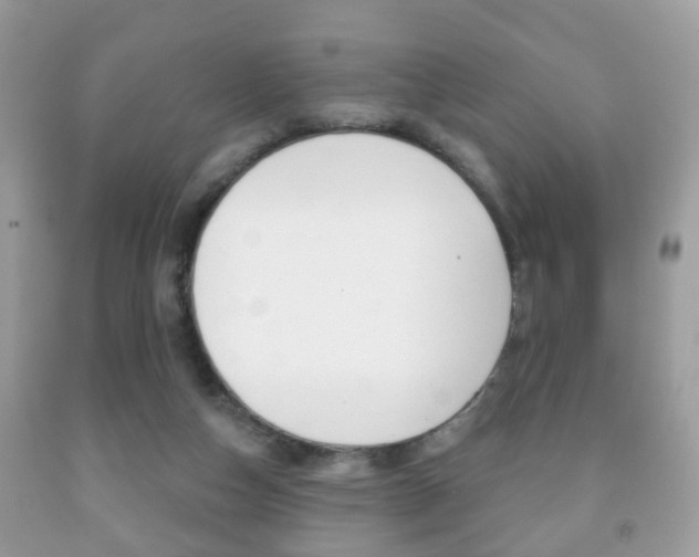 X0000091930162200709051248