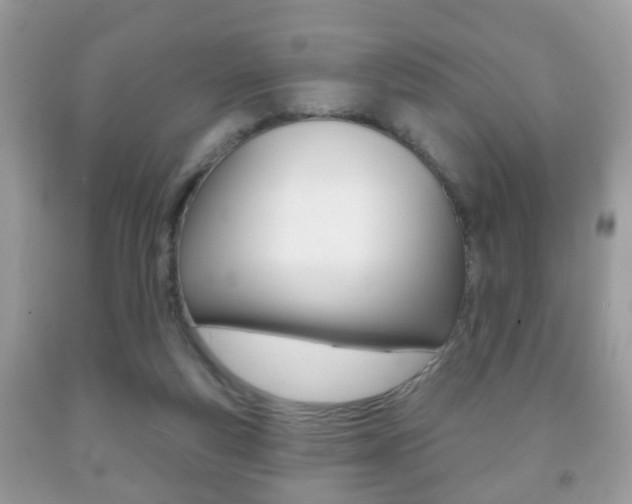 X0000091930163200709051248