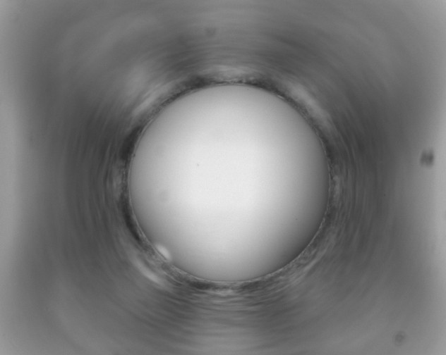 X0000091930165200709051248