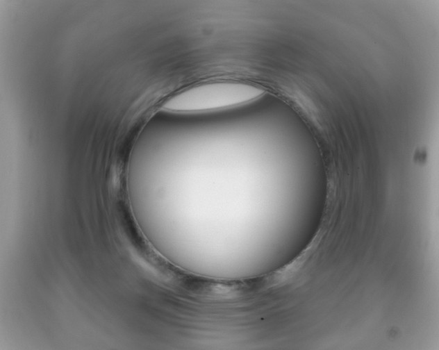 X0000091930166200709051248