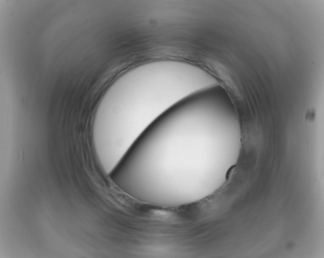 X0000091930167200709051248