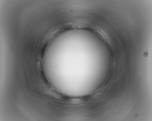 X0000091930169200709051248