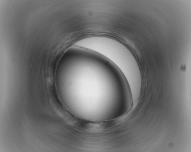 X0000091930170200709051248
