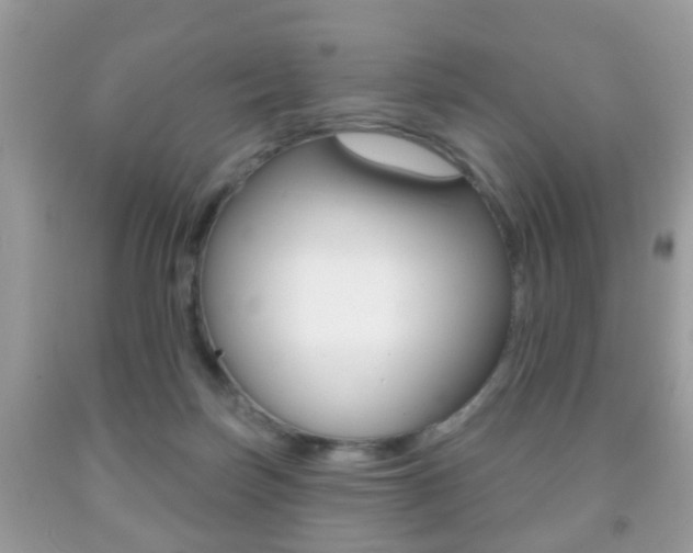 X0000091930171200709051248