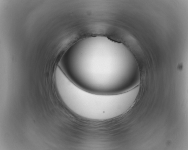 X0000091930172200709051248