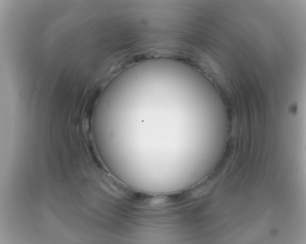 X0000091930173200709051248