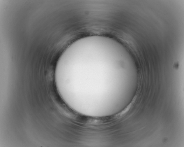 X0000091930174200709051248