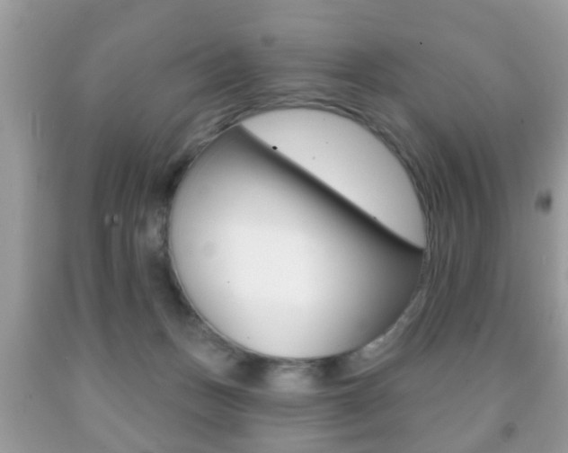 X0000091930175200709051248