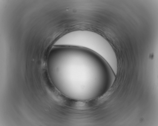 X0000091930176200709051248